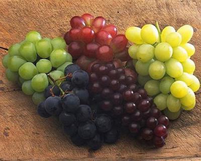 葡萄加工生產線